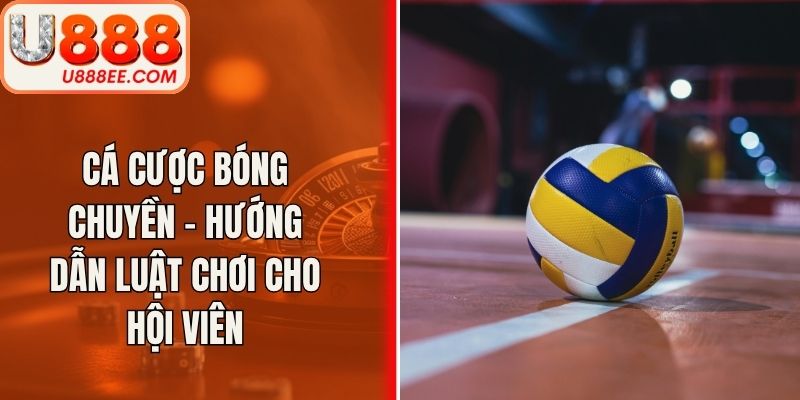 Cá Cược Bóng Chuyền