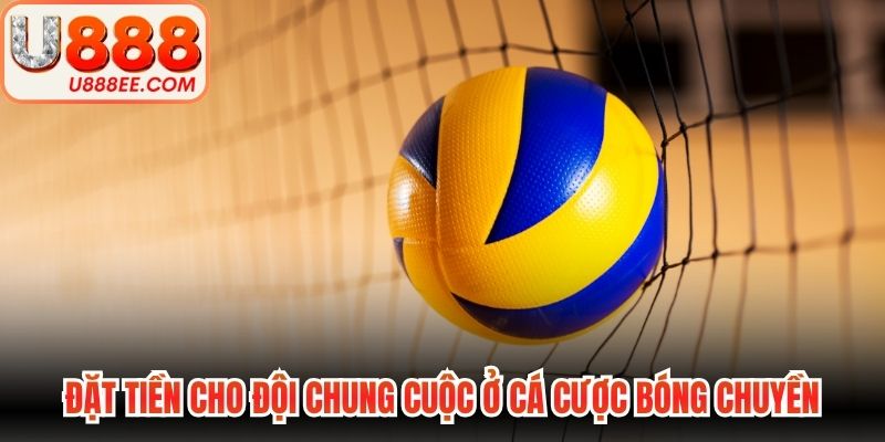 Đặt tiền cho đội chung cuộc ở cá cược bóng chuyền