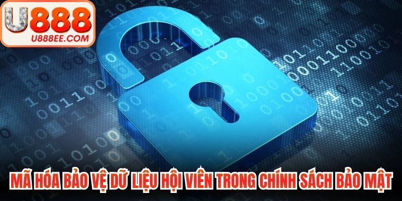 Mã hóa bảo vệ dữ liệu hội viên trong chính sách bảo mật