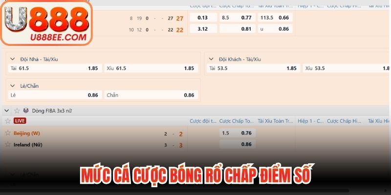 Mức cá cược bóng rổ chấp điểm số