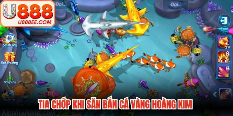 Tia chớp khi săn bắn cá vàng hoàng kim