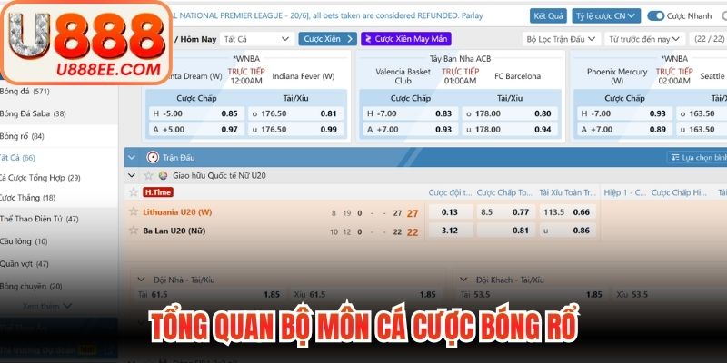 Tổng quan bộ môn cá cược bóng rổ